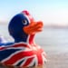 Udostępnianie danych - zgodność RODO - Bount UK