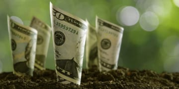 NAURSZENIE RODO BNP Paribas